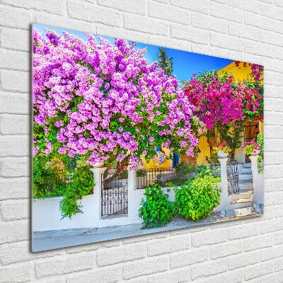 Tableau photo sur verre Maison avec bougainvilliers