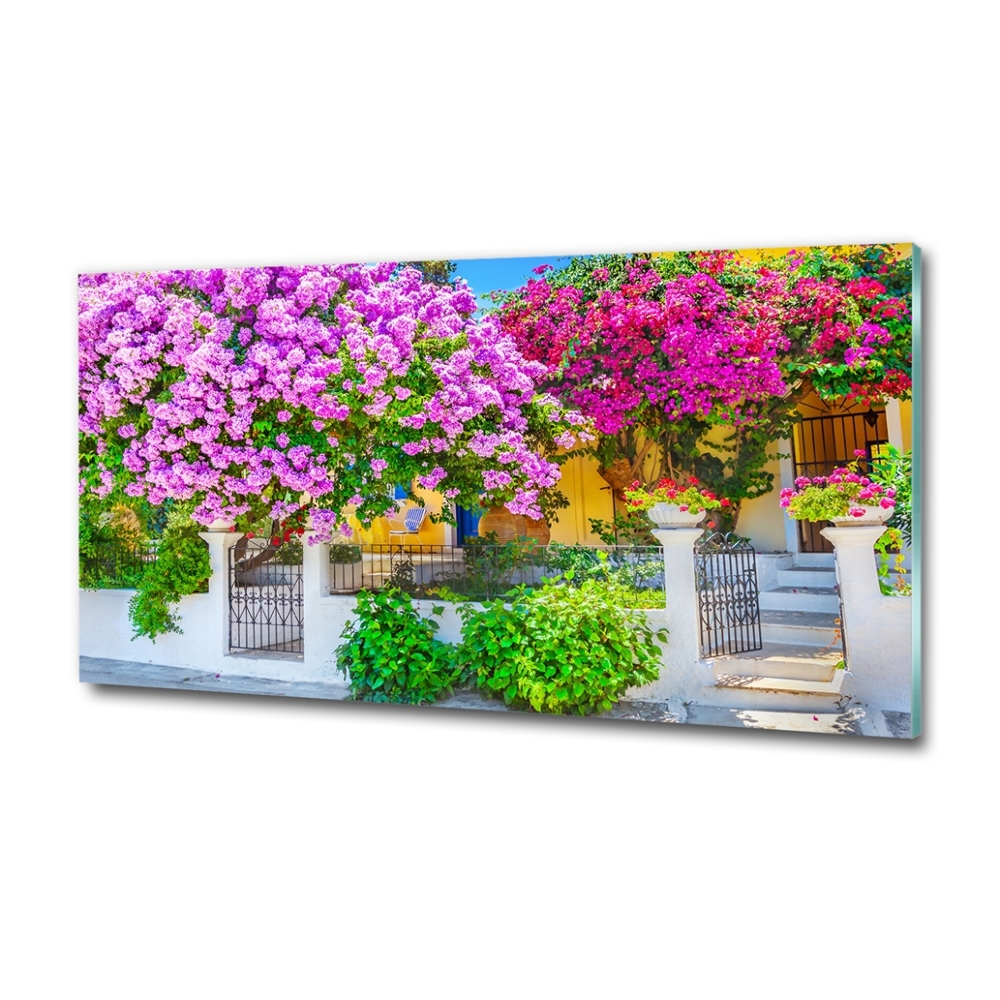 Tableau photo sur verre Maison avec bougainvilliers