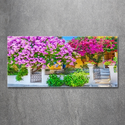 Tableau photo sur verre Maison avec bougainvilliers