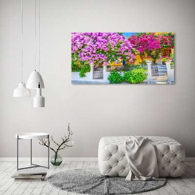 Tableau photo sur verre Maison avec bougainvilliers