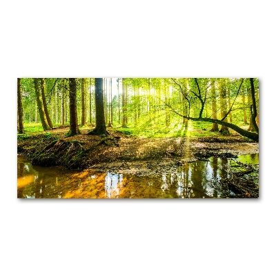 Tableau sur verre Étang dans la forêt