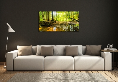 Tableau sur verre Étang dans la forêt