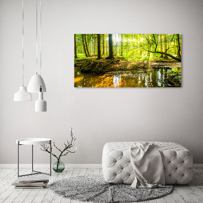 Tableau sur verre Étang dans la forêt