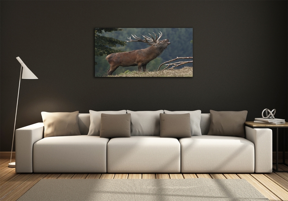 Tableau photo sur verre Cerf sur une colline