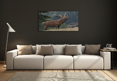 Tableau photo sur verre Cerf sur une colline