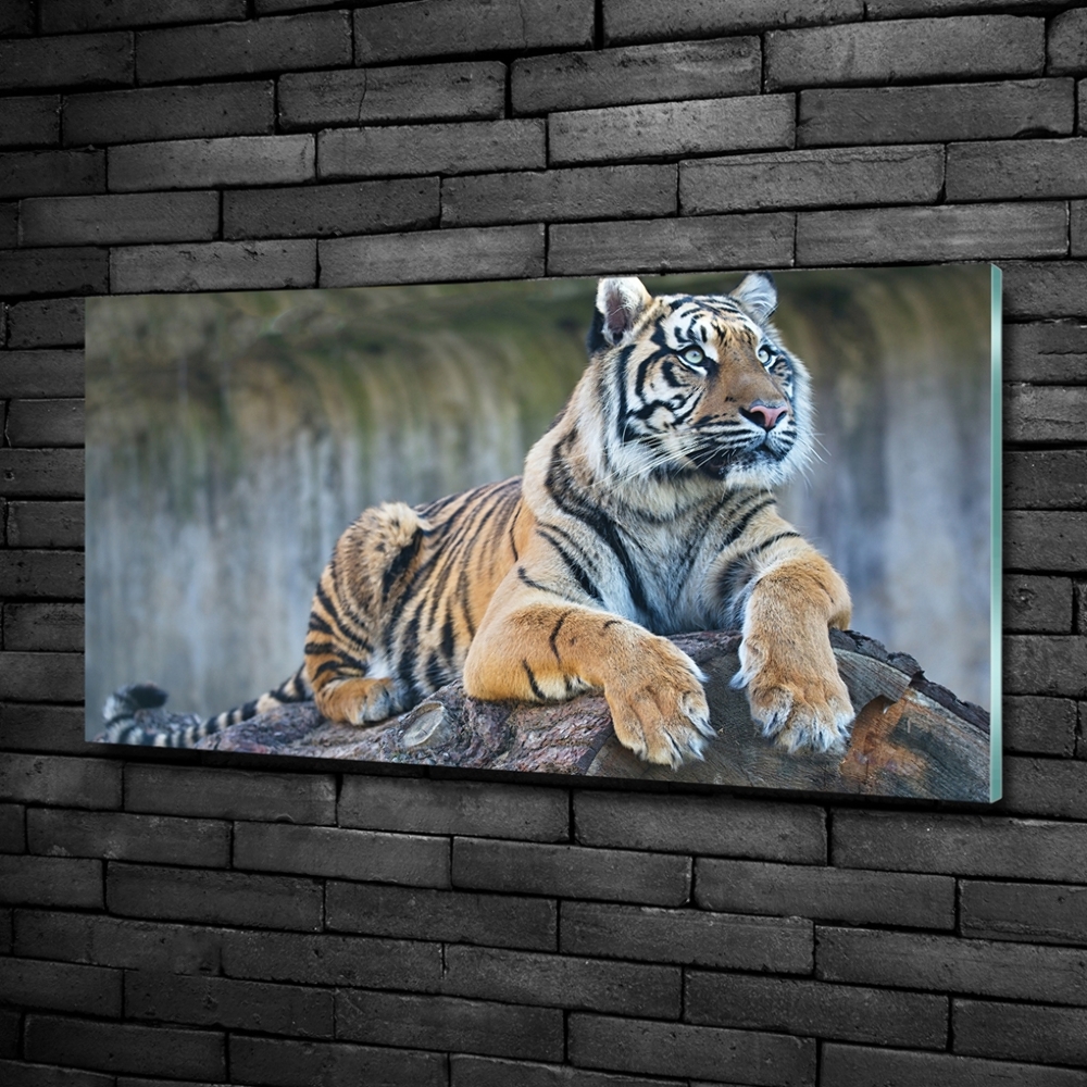 Tableau en verre Tigre