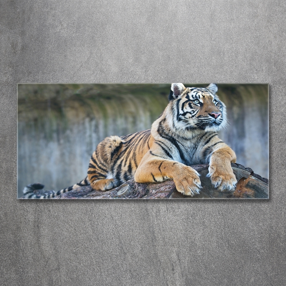 Tableau en verre Tigre