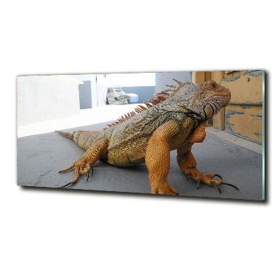 Tableau photo sur verre Iguane