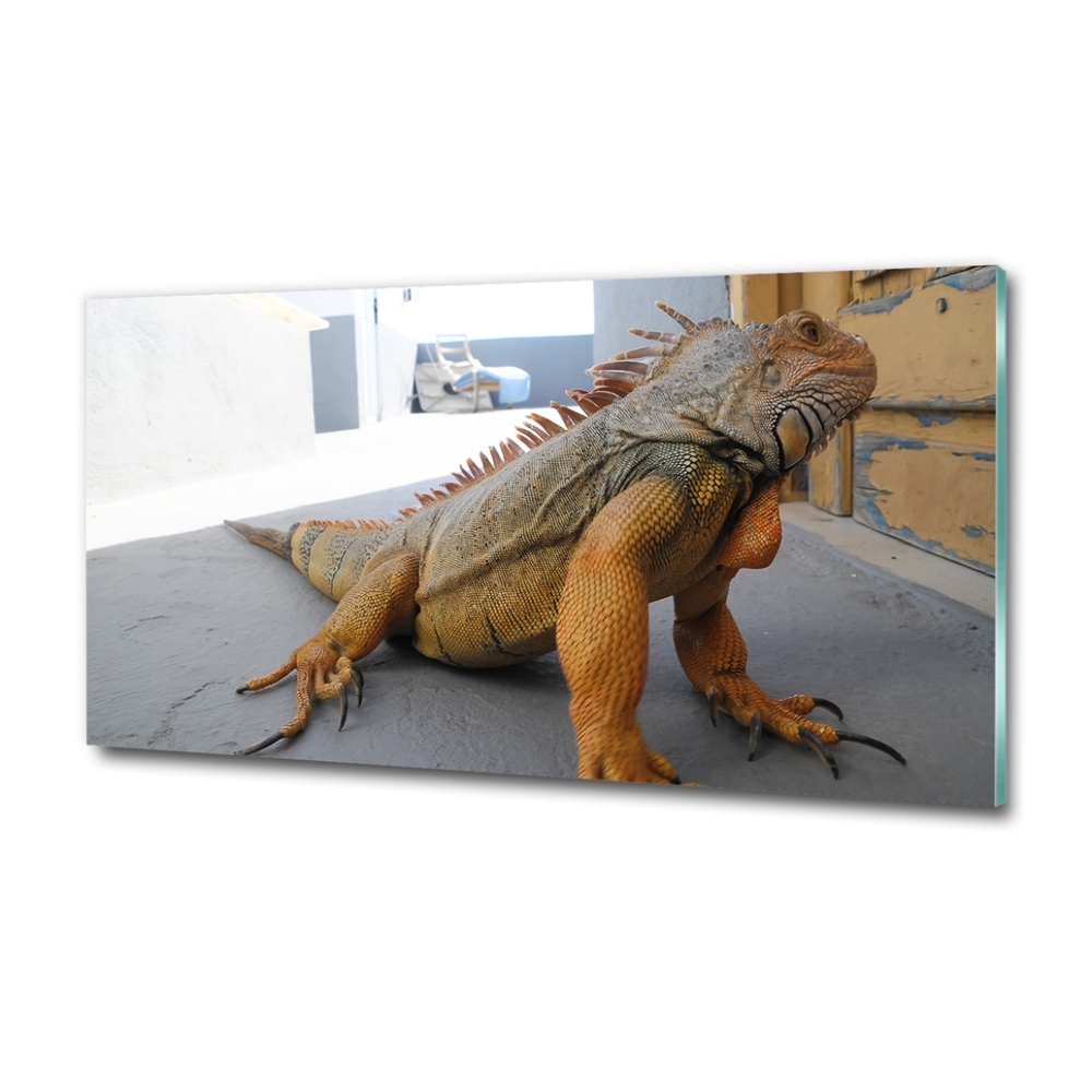 Tableau photo sur verre Iguane