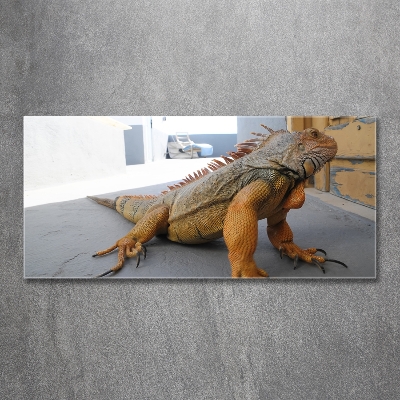 Tableau photo sur verre Iguane