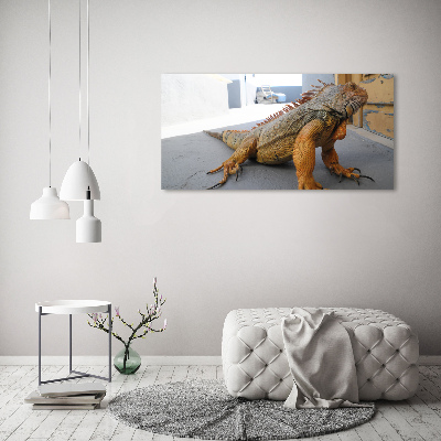 Tableau photo sur verre Iguane