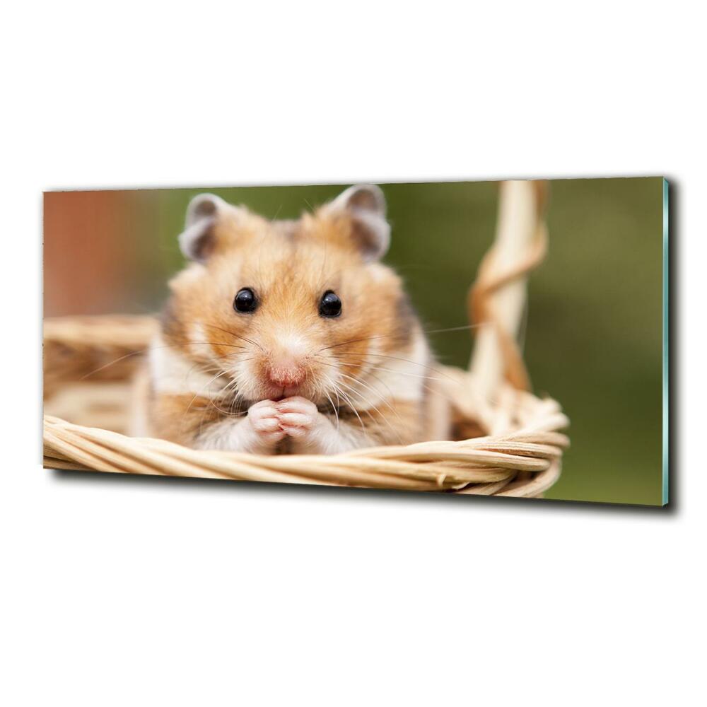 Tableau photo sur verre Hamster dans un panier