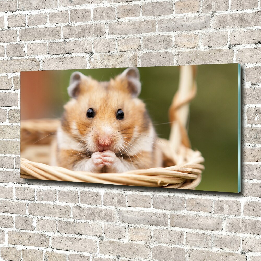 Tableau photo sur verre Hamster dans un panier