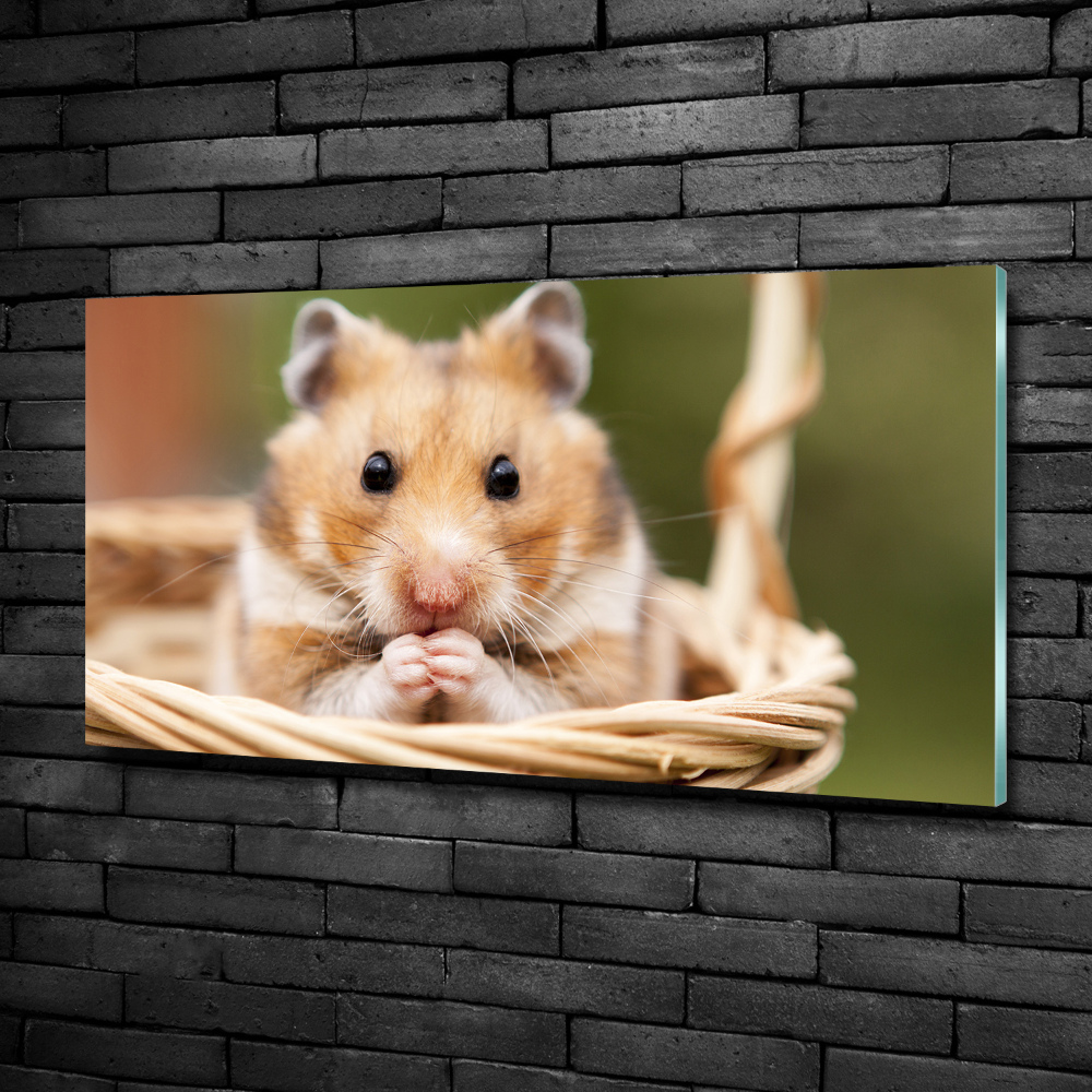 Tableau photo sur verre Hamster dans un panier