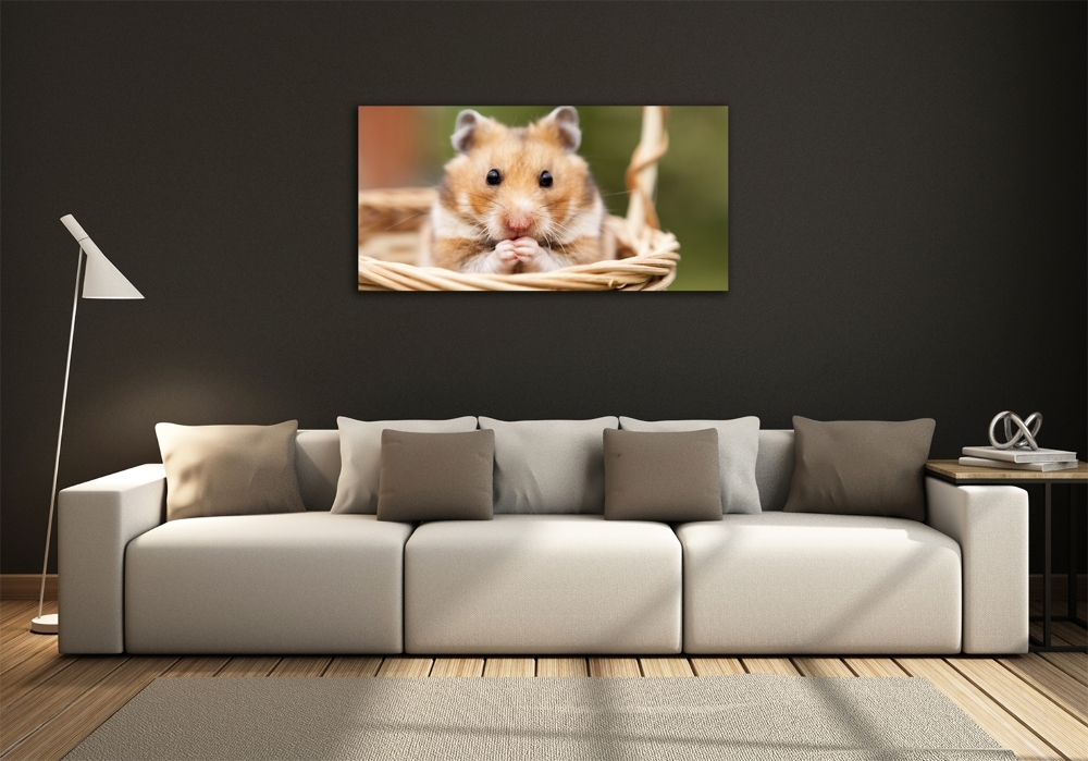 Tableau photo sur verre Hamster dans un panier