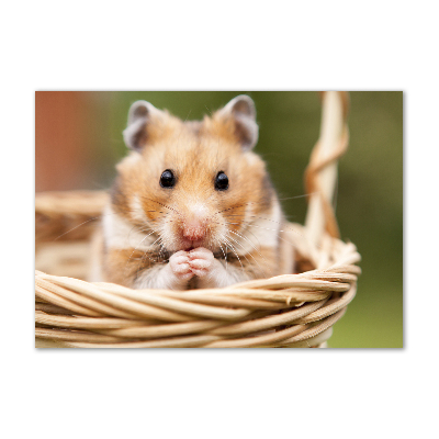 Tableau photo sur verre Hamster dans un panier