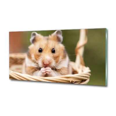 Tableau photo sur verre Hamster dans un panier