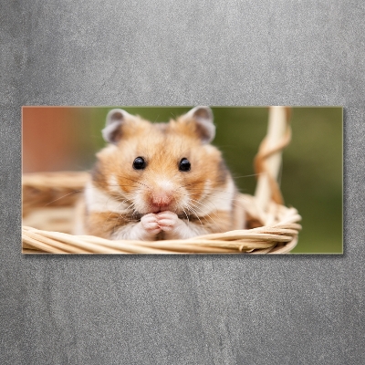 Tableau photo sur verre Hamster dans un panier