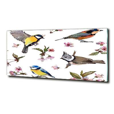 Tableau imprimé sur verre Oiseaux et fleurs de cerisier