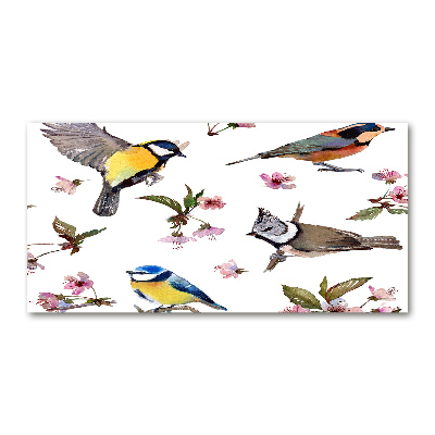 Tableau imprimé sur verre Oiseaux et fleurs de cerisier