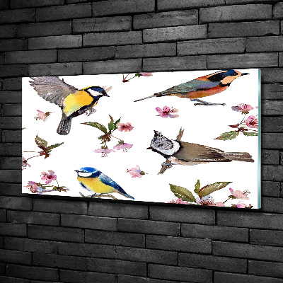 Tableau imprimé sur verre Oiseaux et fleurs de cerisier