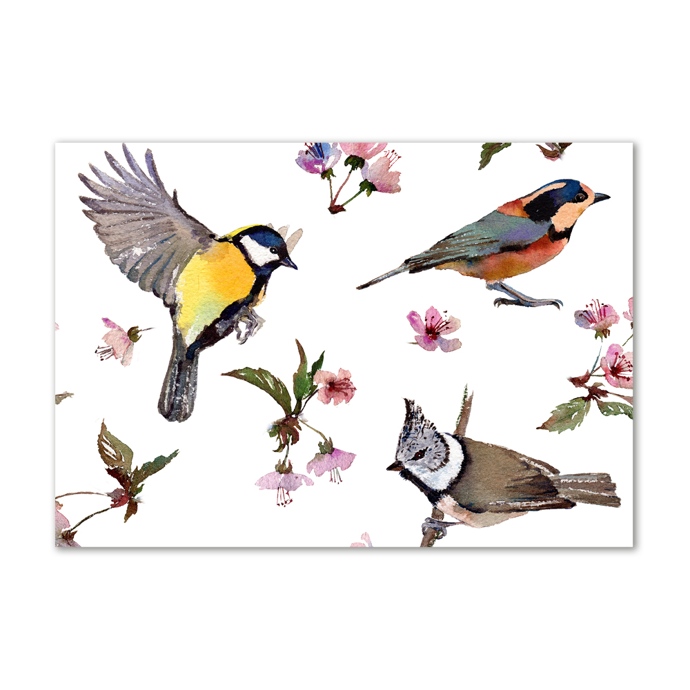 Tableau imprimé sur verre Oiseaux et fleurs de cerisier