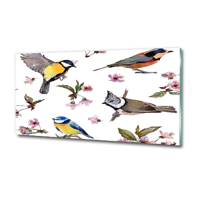 Tableau imprimé sur verre Oiseaux et fleurs de cerisier