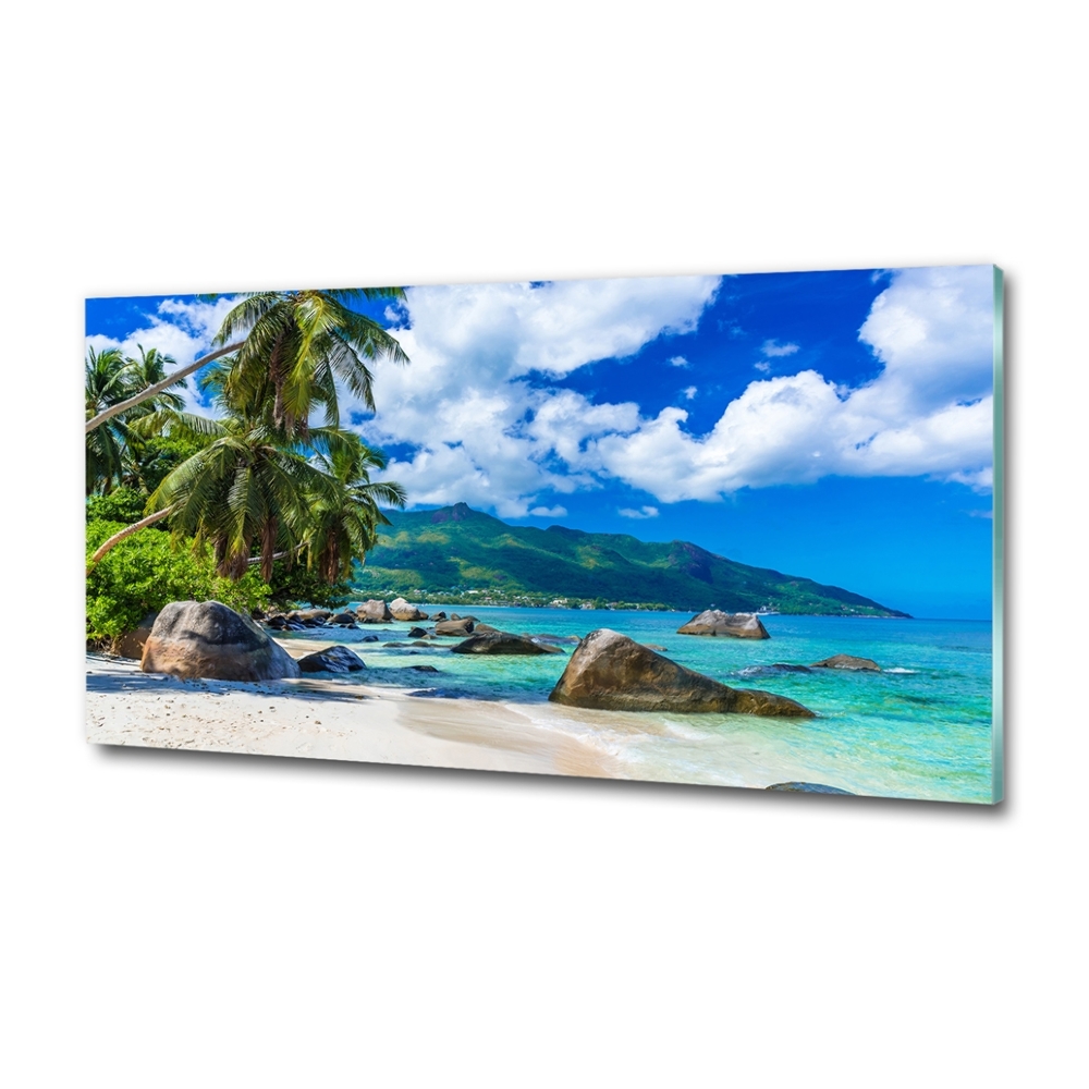 Tableau en verre Plage des Seychelles