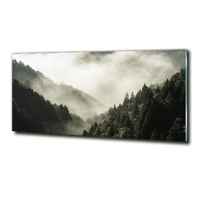 Tableau photo sur verre Brume sur la forêt