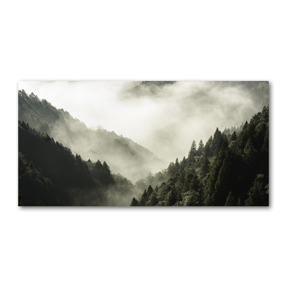 Tableau photo sur verre Brume sur la forêt