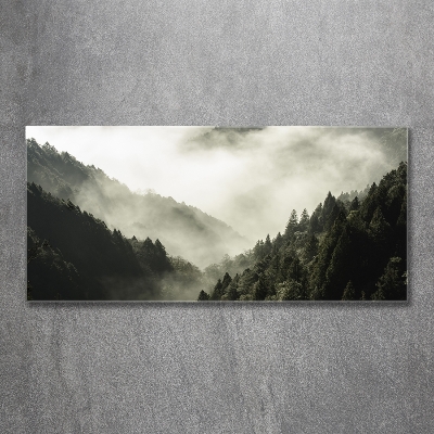 Tableau photo sur verre Brume sur la forêt