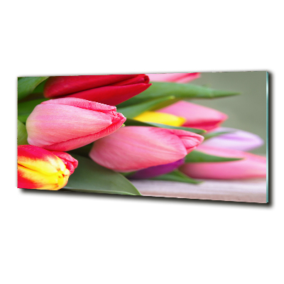 Tableau en verre Tulipes colorées