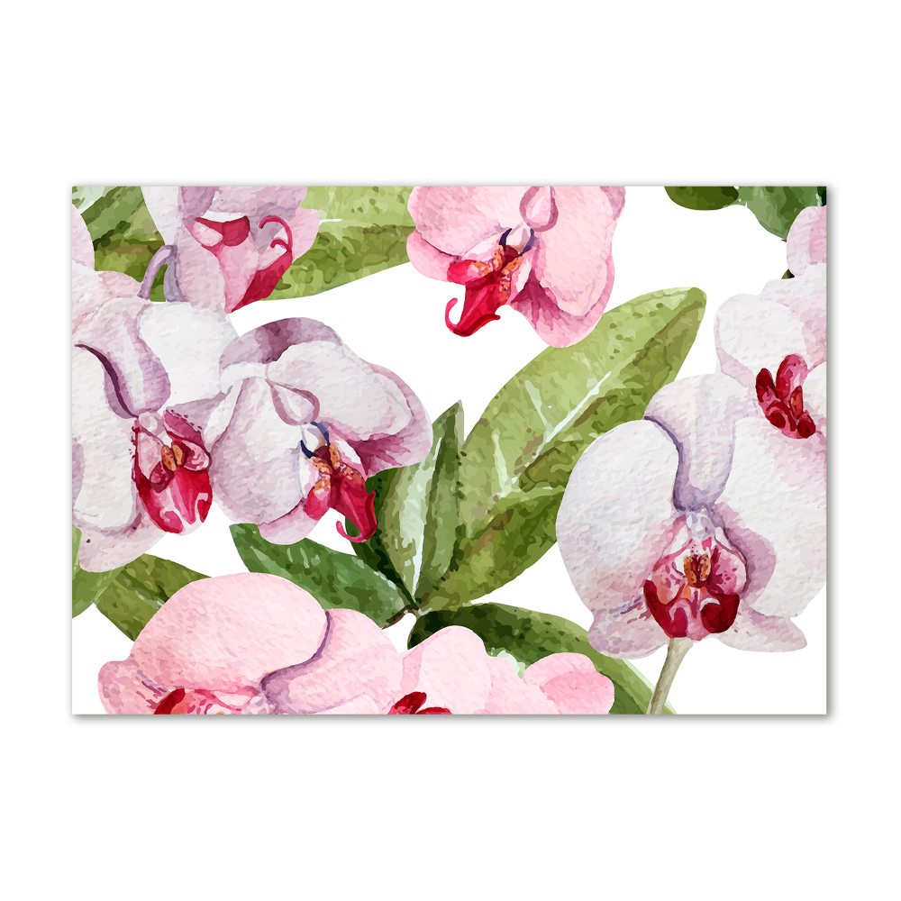 Tableau imprimé sur verre Orchidées roses