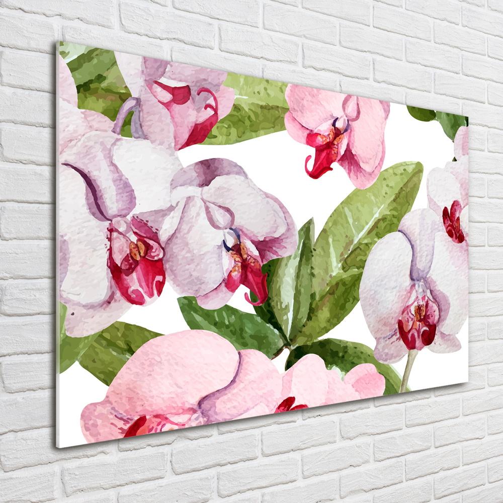 Tableau imprimé sur verre Orchidées roses