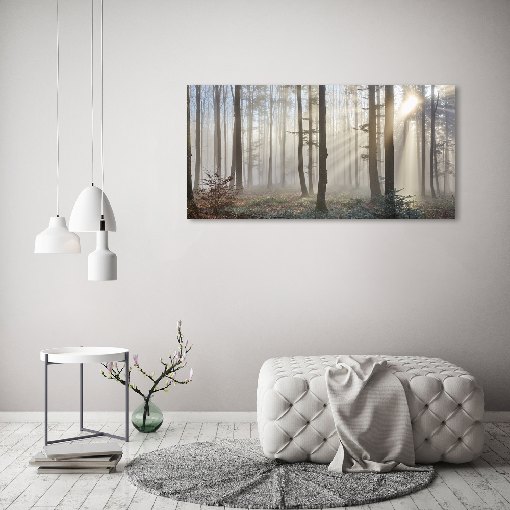 Tableau sur verre Le brouillard dans la forêt