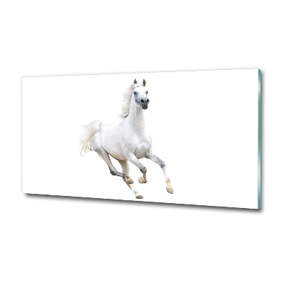 Tableau en verre Cheval arabe blanc