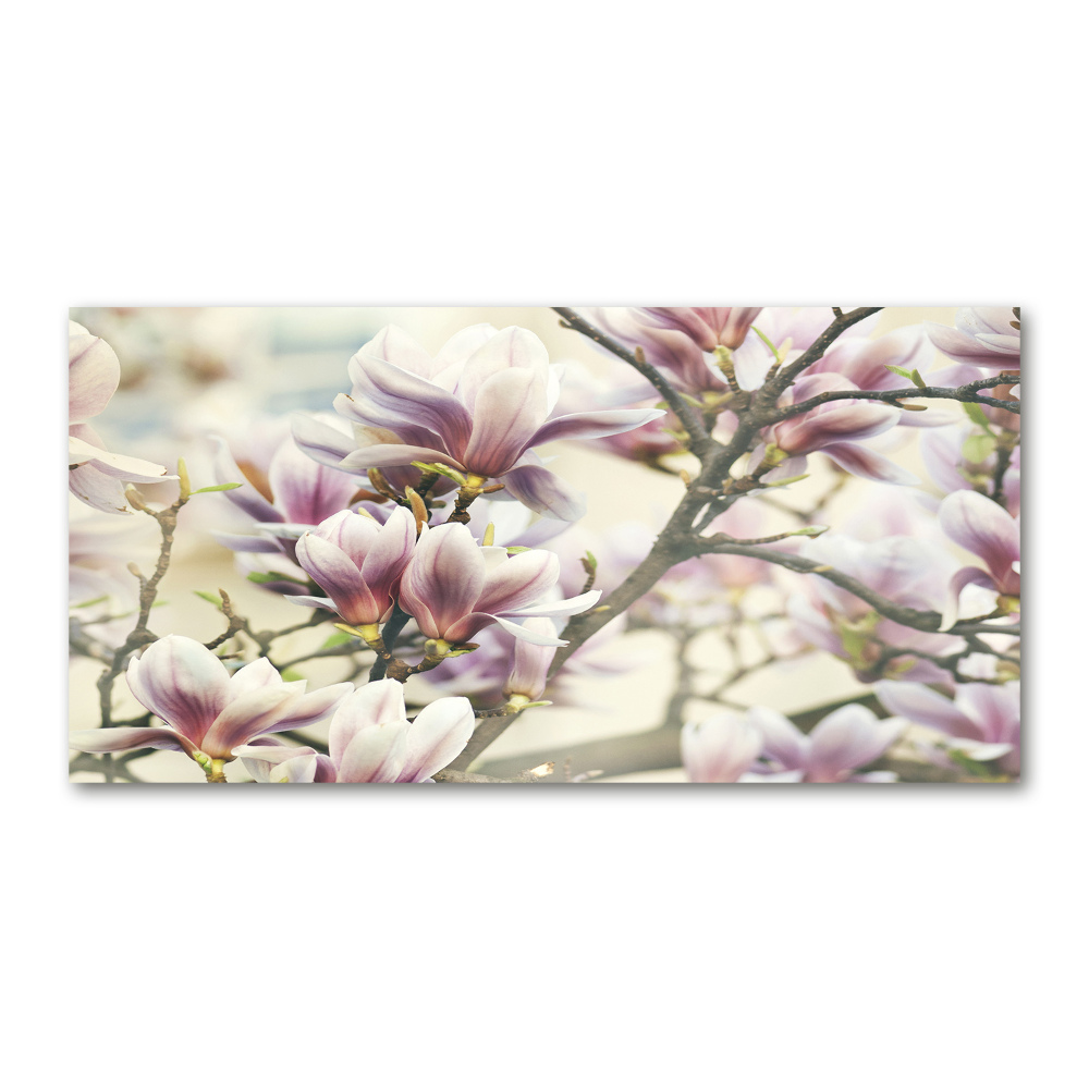 Tableau en verre Magnolia