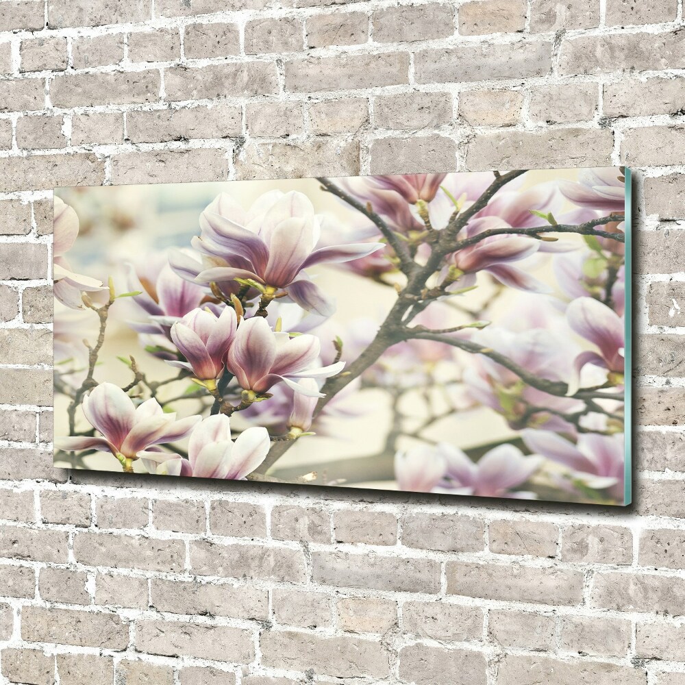 Tableau en verre Magnolia