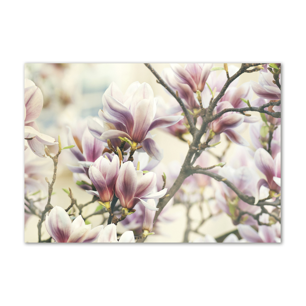 Tableau en verre Magnolia