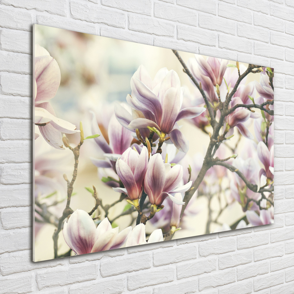 Tableau en verre Magnolia