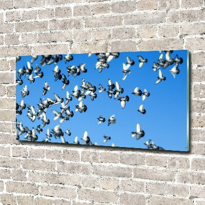 Tableau sur verre Troupeau de pigeons