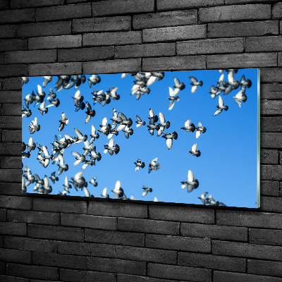 Tableau sur verre Troupeau de pigeons