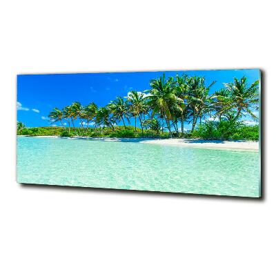 Tableau en verre Plage exotique eau bleue