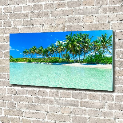 Tableau en verre Plage exotique eau bleue