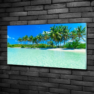 Tableau en verre Plage exotique eau bleue