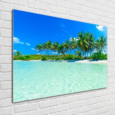 Tableau en verre Plage exotique eau bleue