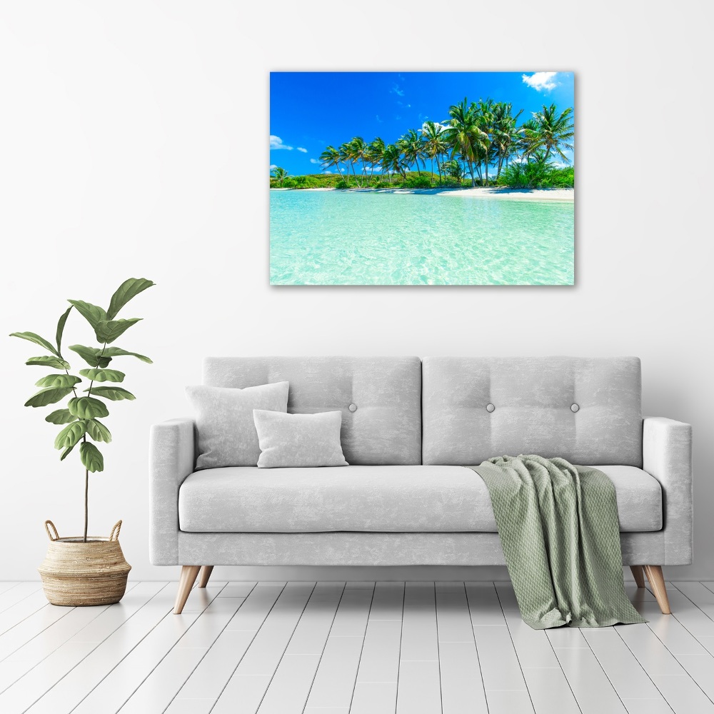 Tableau en verre Plage exotique eau bleue