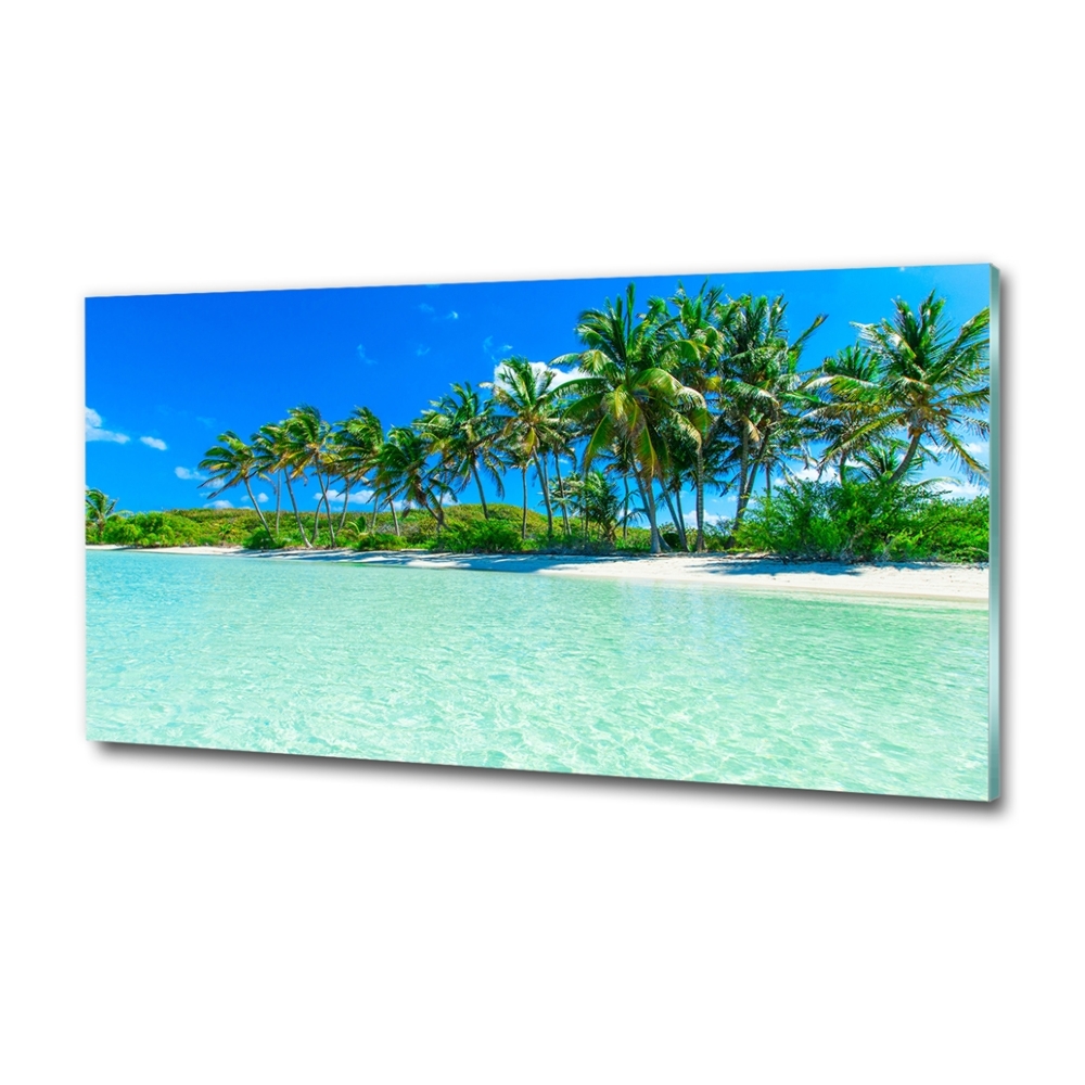 Tableau en verre Plage exotique eau bleue