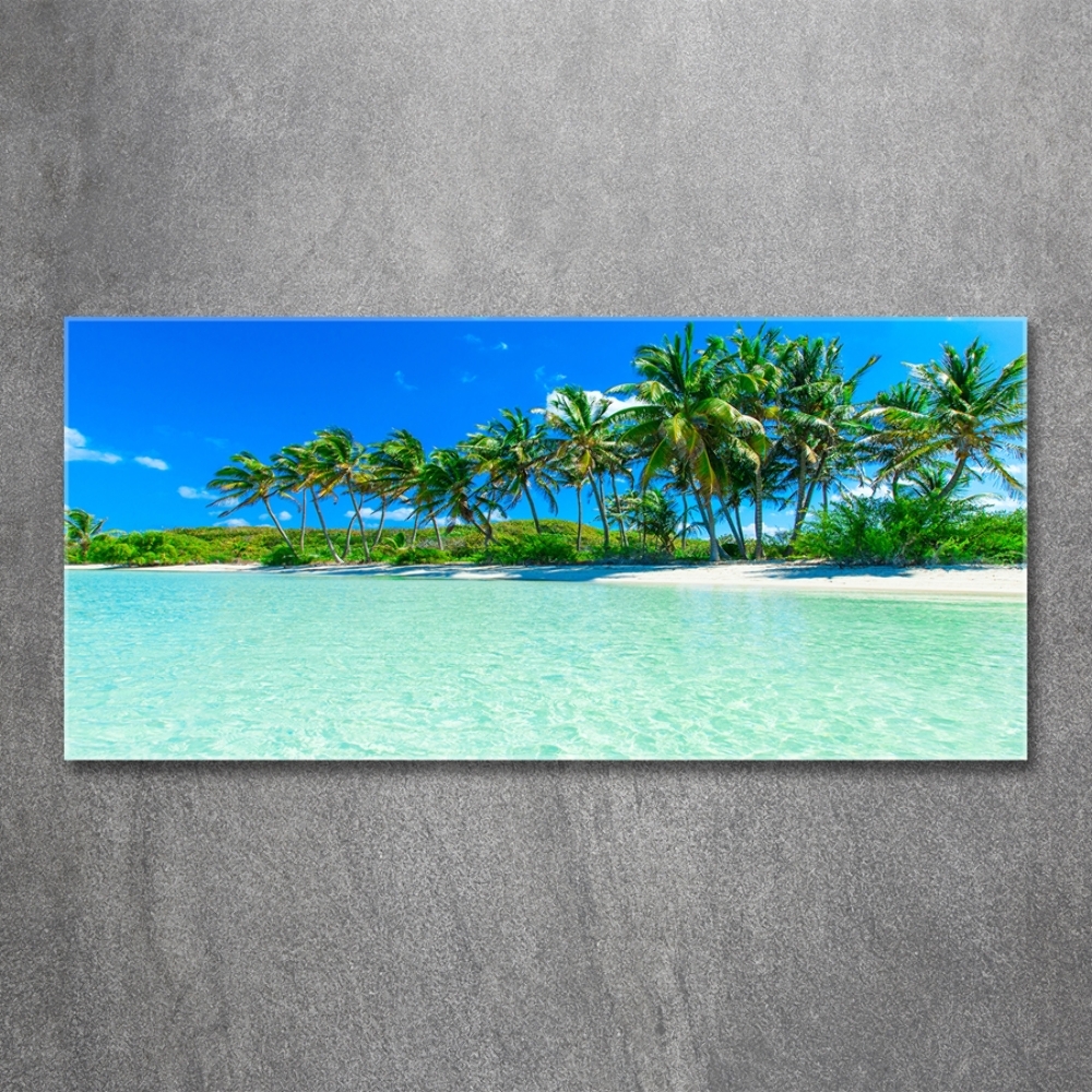 Tableau en verre Plage exotique eau bleue