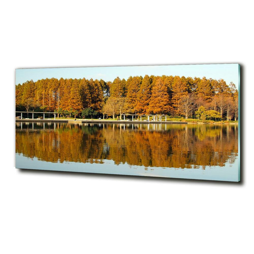 Tableau imprimé sur verre Forêt de bord de lac